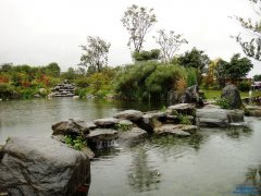 L@OӋY|ˆTҪʲôҪЩ