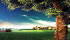 風景園林設計乙級資質申請條件/要求