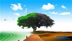 環保工程資質代辦如何準備資產?