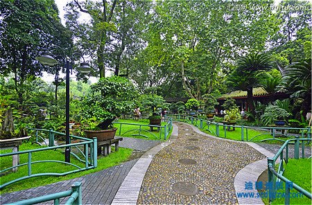 Ў@־GY|D׌ĆᣬُI@־G˾ȥ