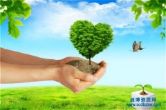 <b>環保工程三級資質代辦有什么要求</b>