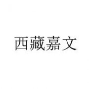 西藏嘉文企業(yè)管理有限公司